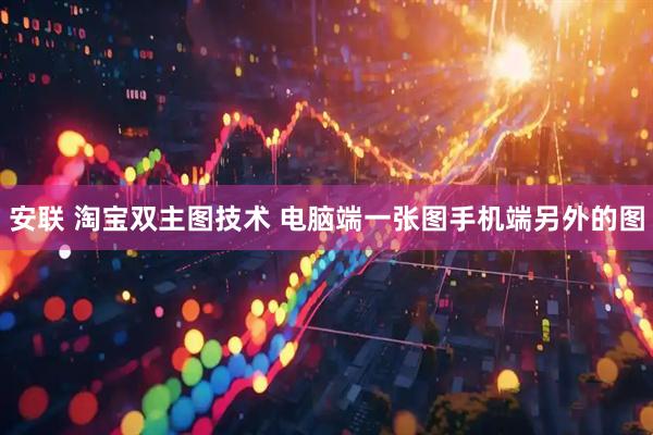 安联 淘宝双主图技术 电脑端一张图手机端另外的图