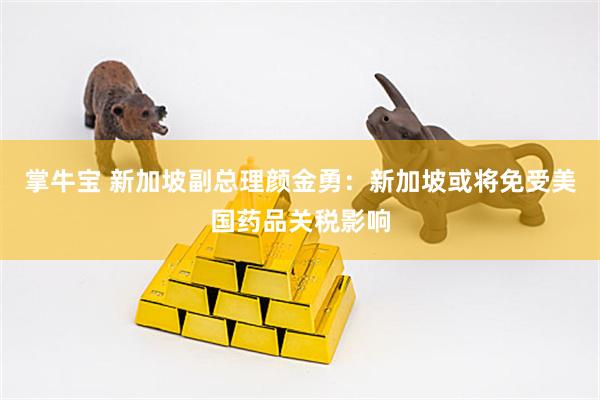 掌牛宝 新加坡副总理颜金勇：新加坡或将免受美国药品关税影响