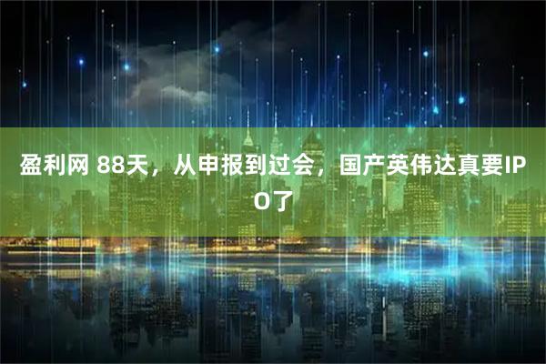 盈利网 88天，从申报到过会，国产英伟达真要IPO了