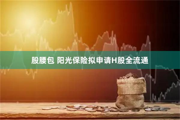 股腰包 阳光保险拟申请H股全流通